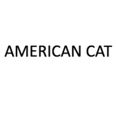 ΚΑΤΑΛΥΤΕΣ AMERICAN CAT